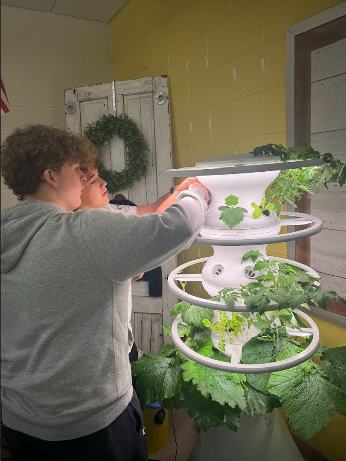 hydroponics tower