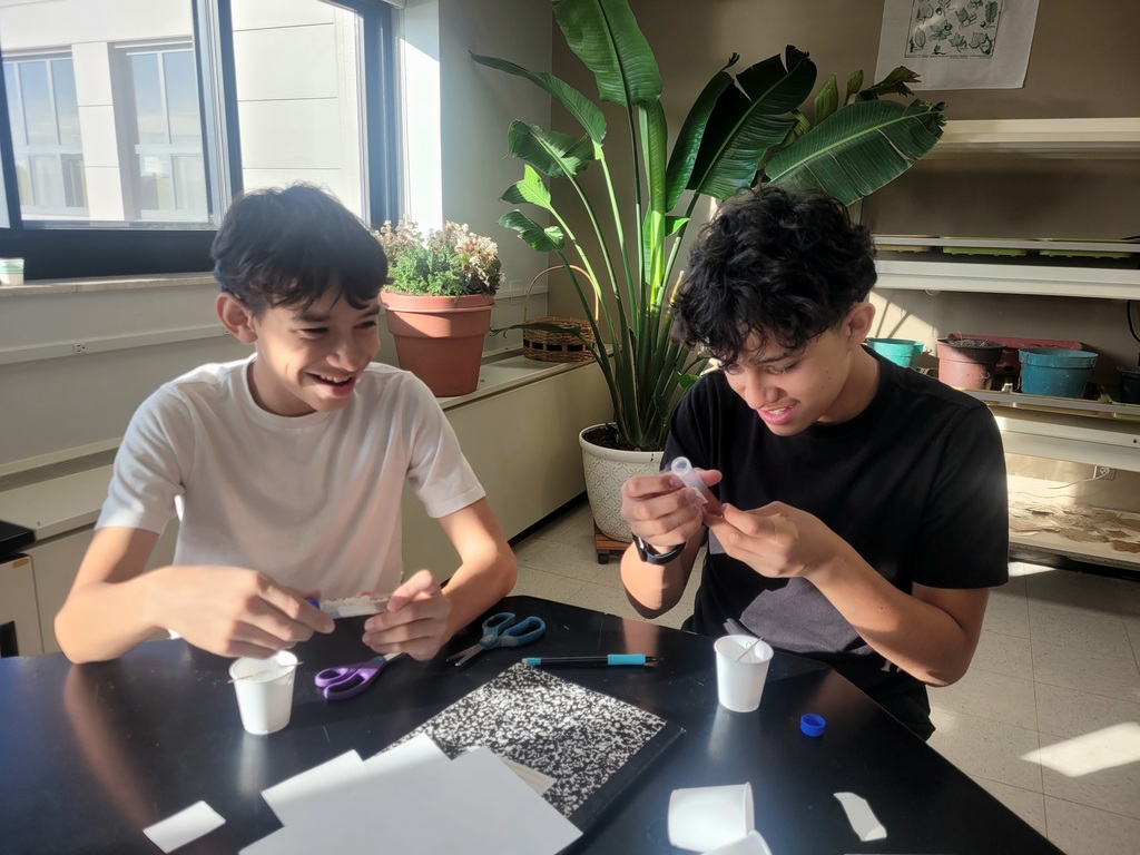 2 boys  working on a test tube