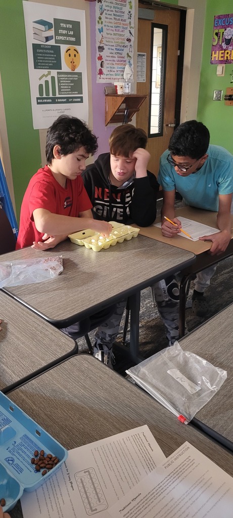 3 students working together