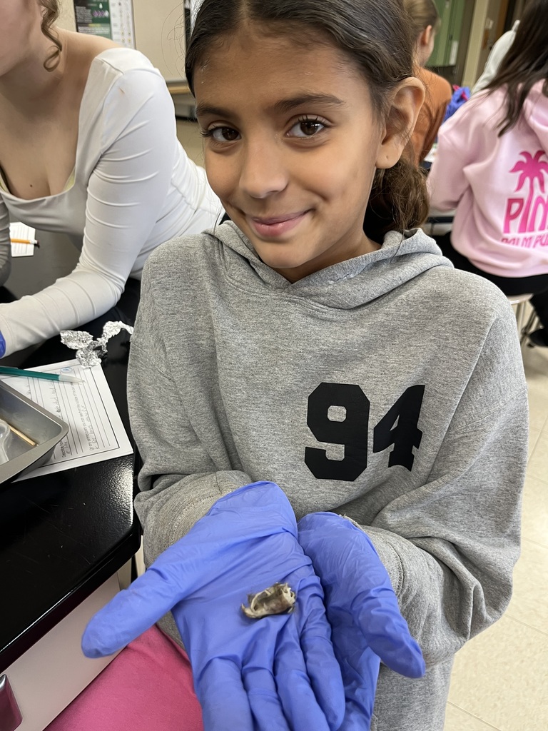 A girl showing an owl pellet