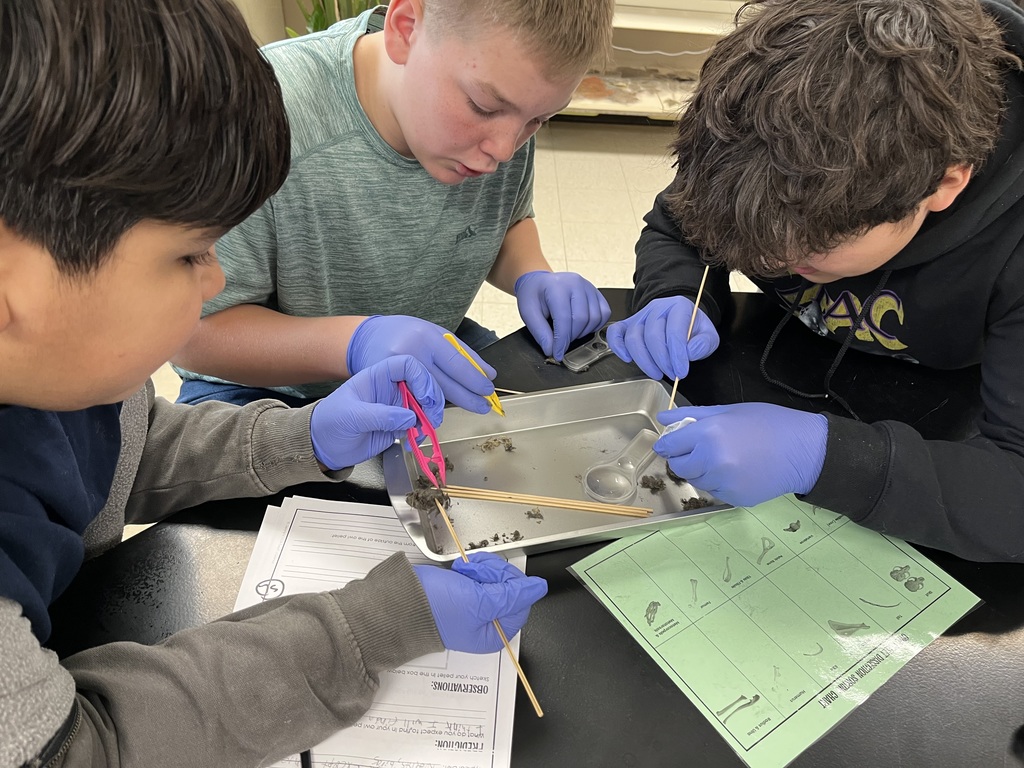 3 boys working on a science project