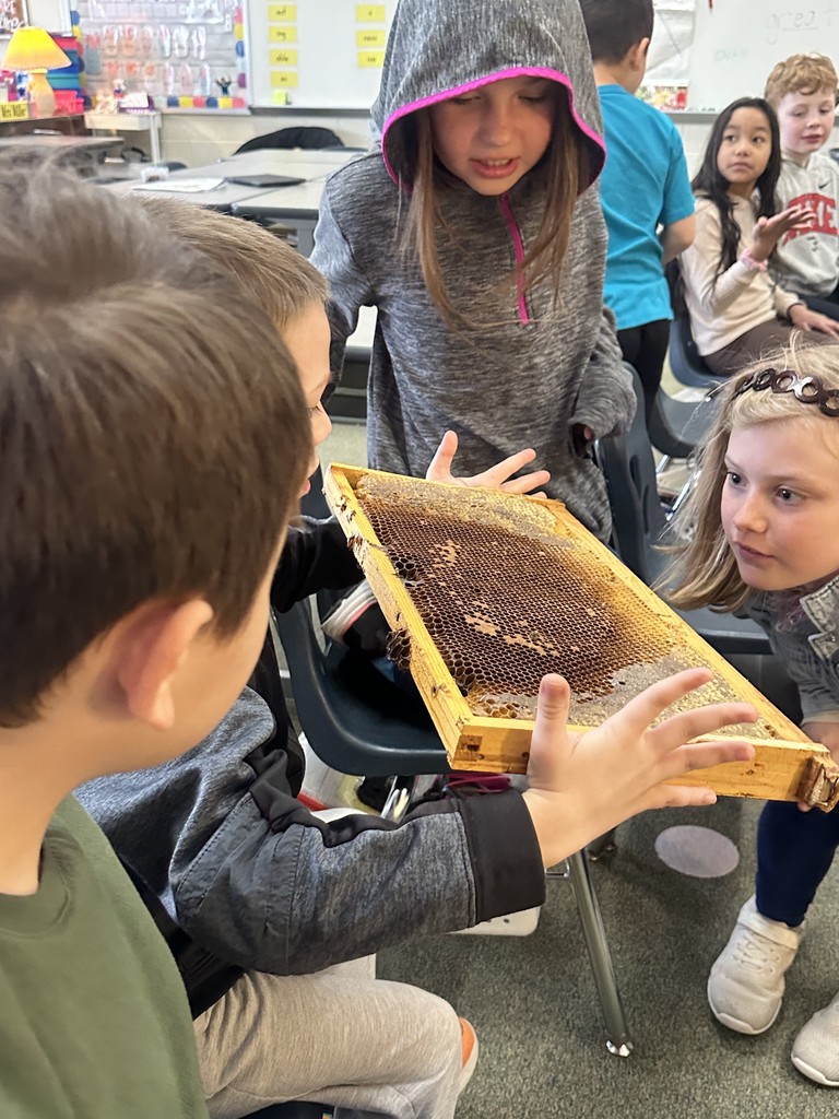Students looking at honey combs.