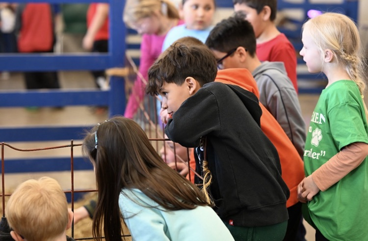 kids looking over fence 
