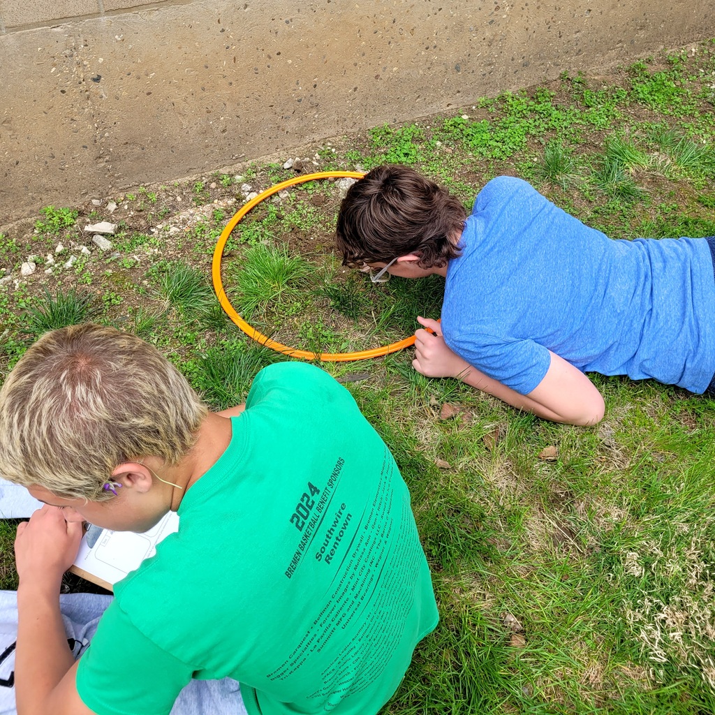 Students working outside
