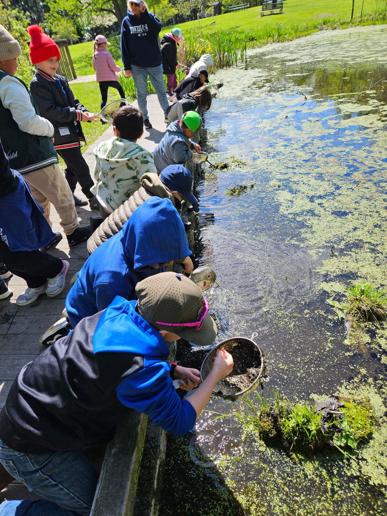 Students looking at a pond