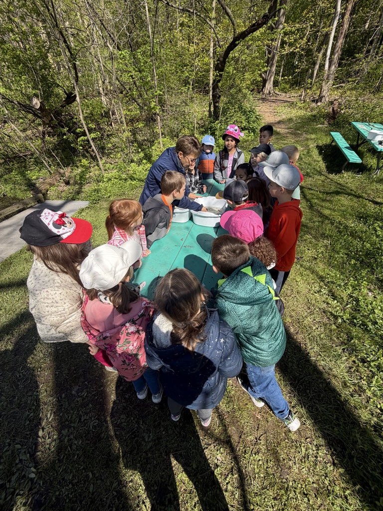 Students on a field trip