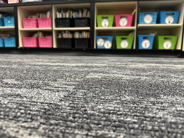 carpet