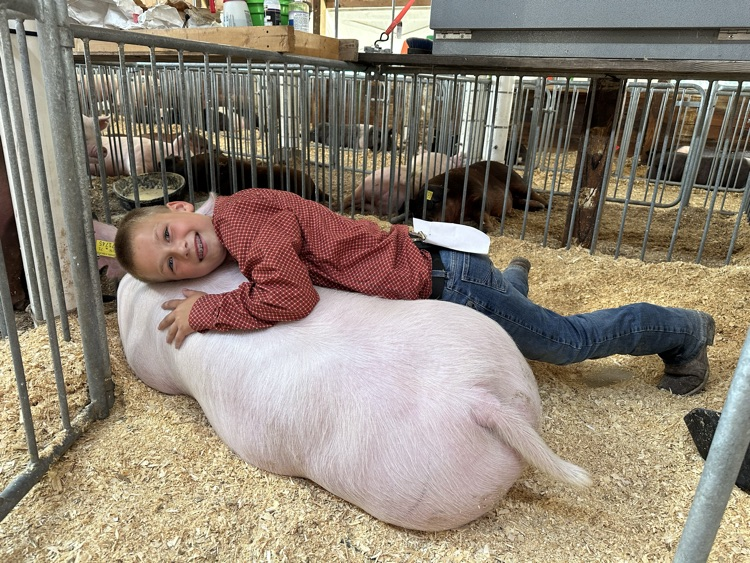 kid 