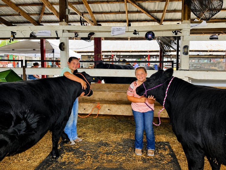kids with cows
