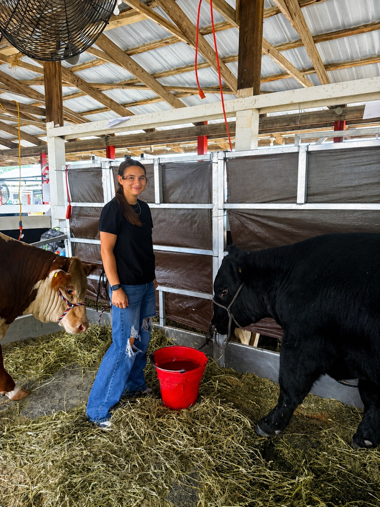 kid with cows