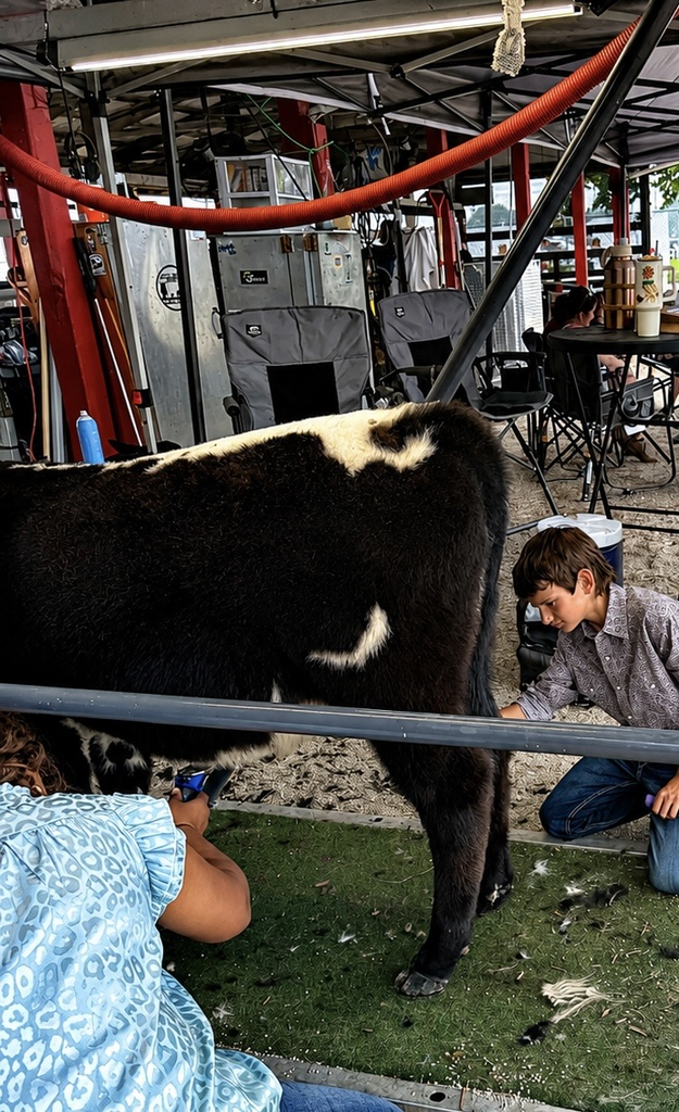 kids with cow