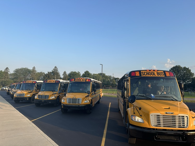 buses