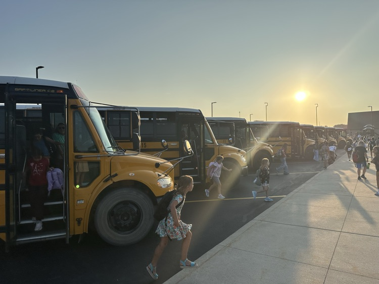 buses