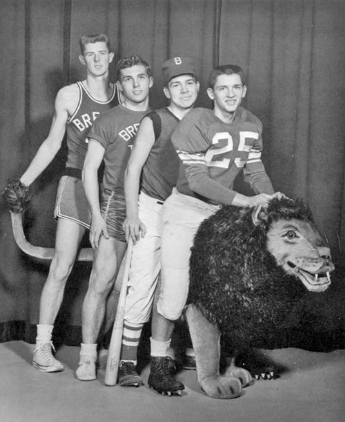 lion and players 