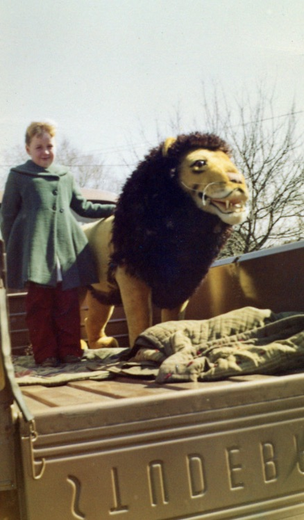 lion 