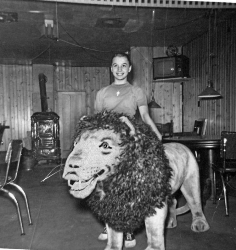 lion 
