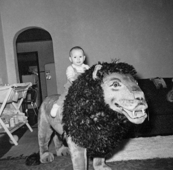lion 