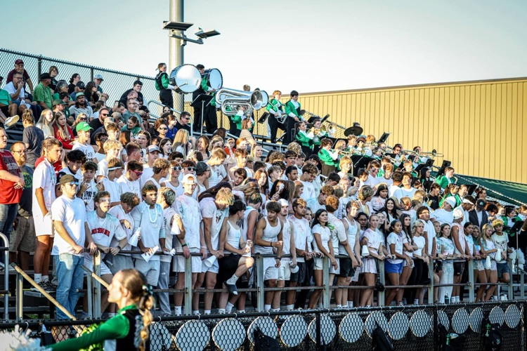 stands
