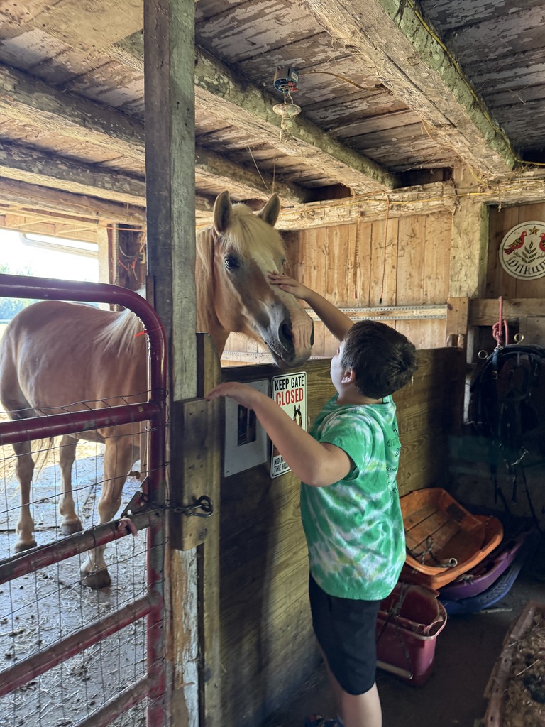 petting a horse 