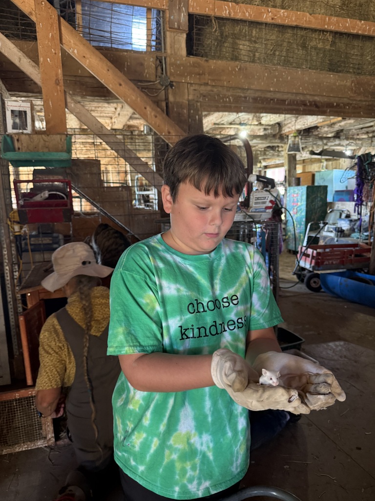 Holding a mouse 