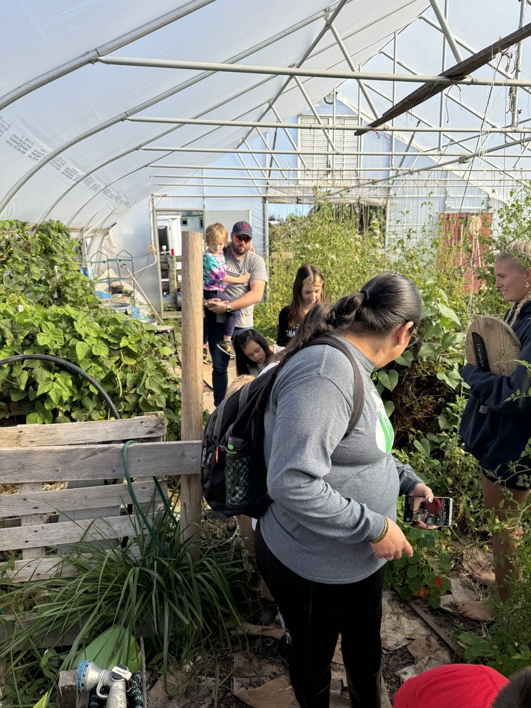 Greenhouse 