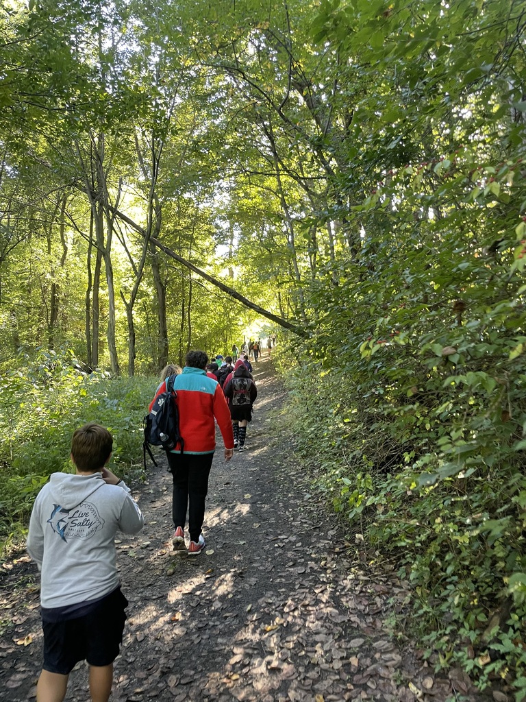 Students walking in the trees