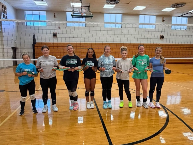 volleyball