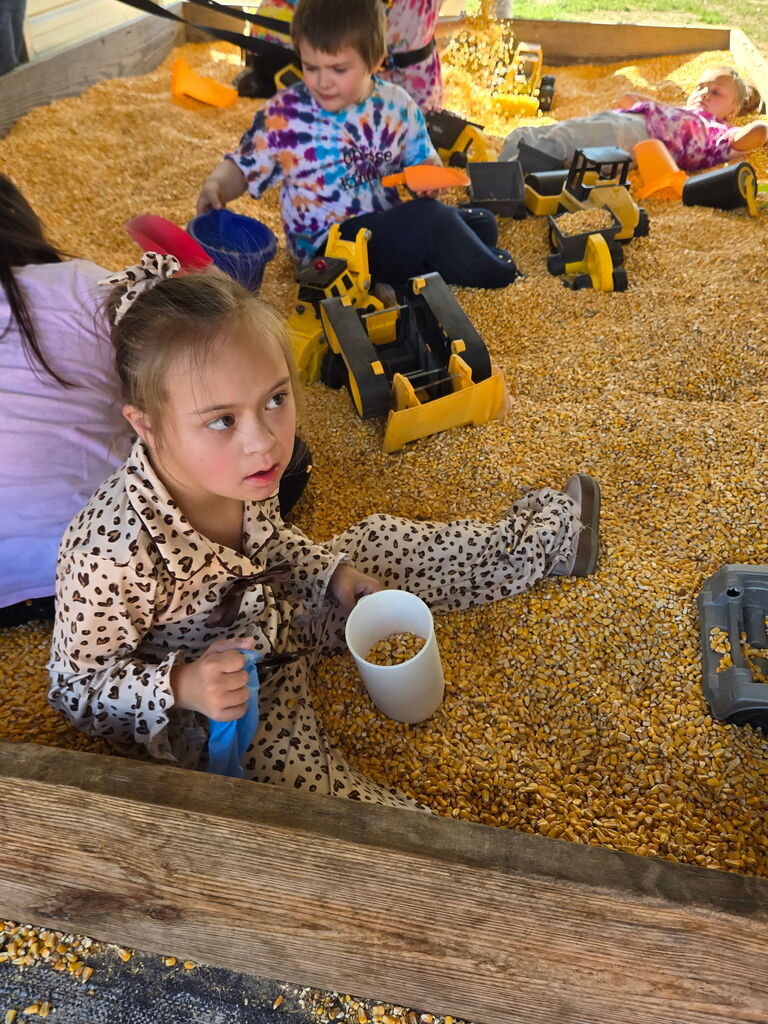 Yellow Ricer Farms