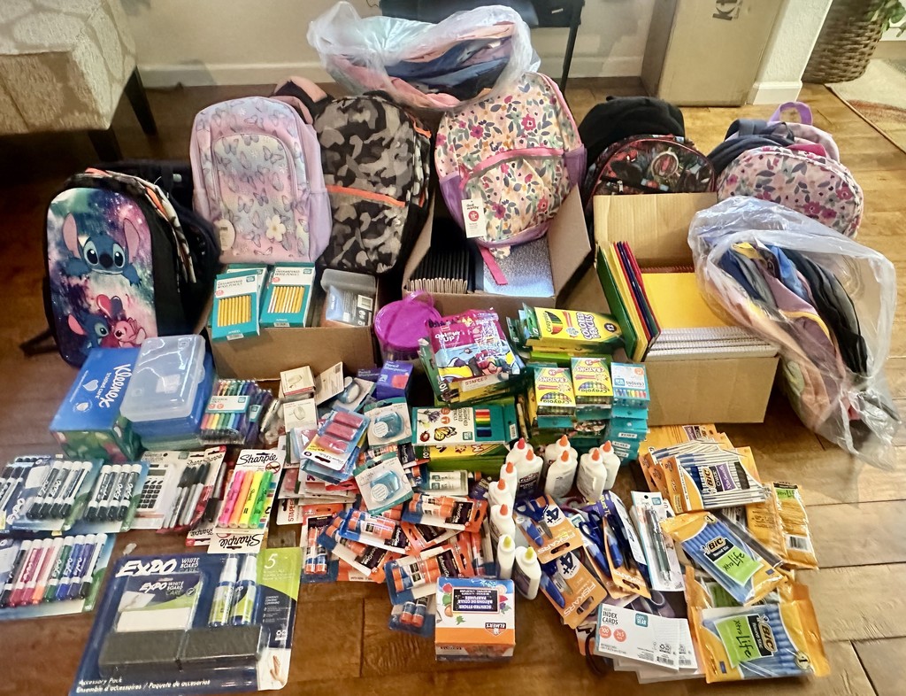Hindu Swayamsekvak Sangh Donation2