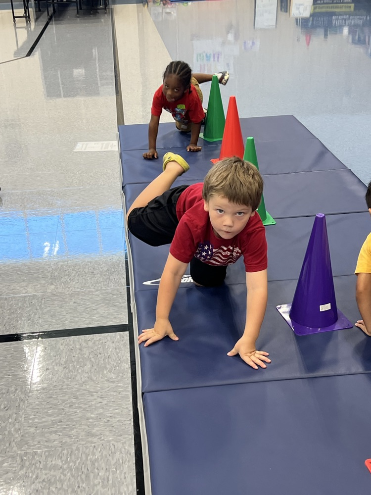 balancing on three limbs isn’t as easy as it looks! 