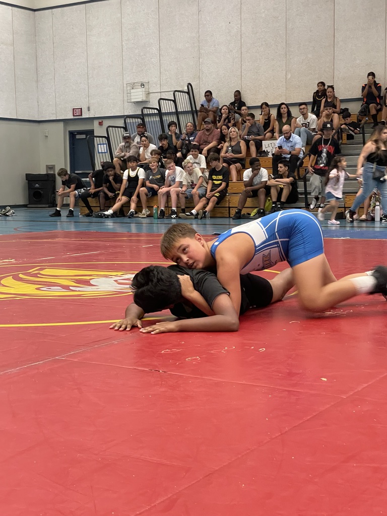 wrestlers