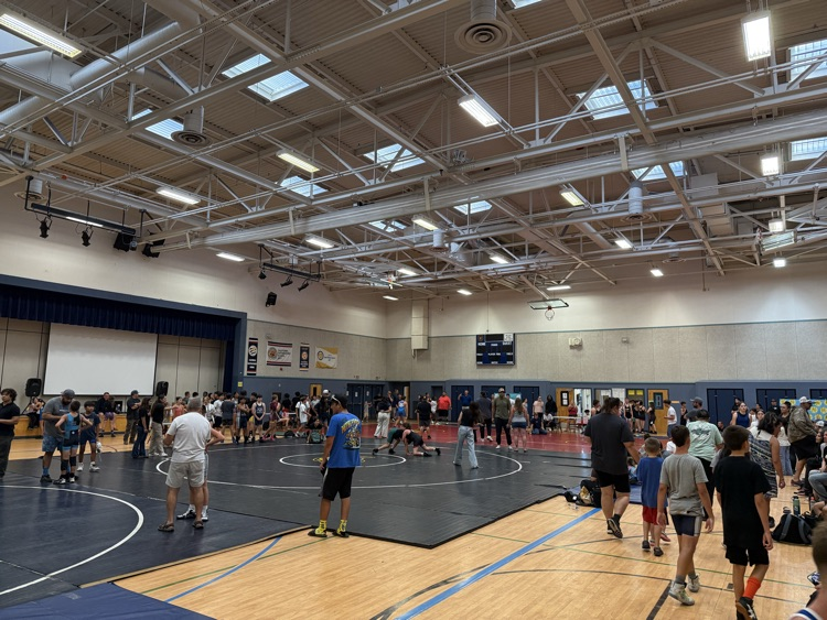 wrestling 