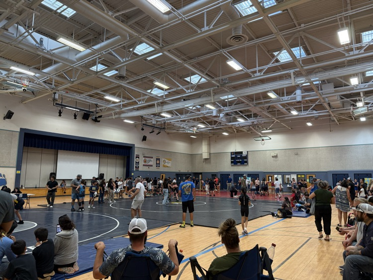 wrestling