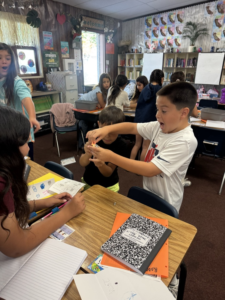 4th grade science 