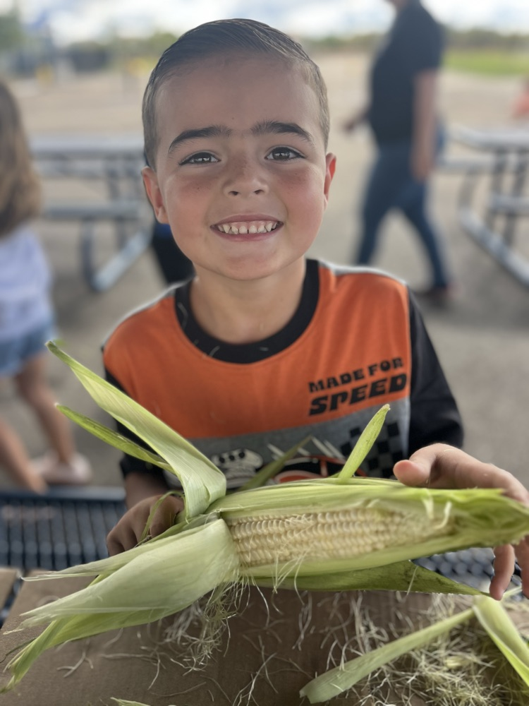 all smiles during shucking 
