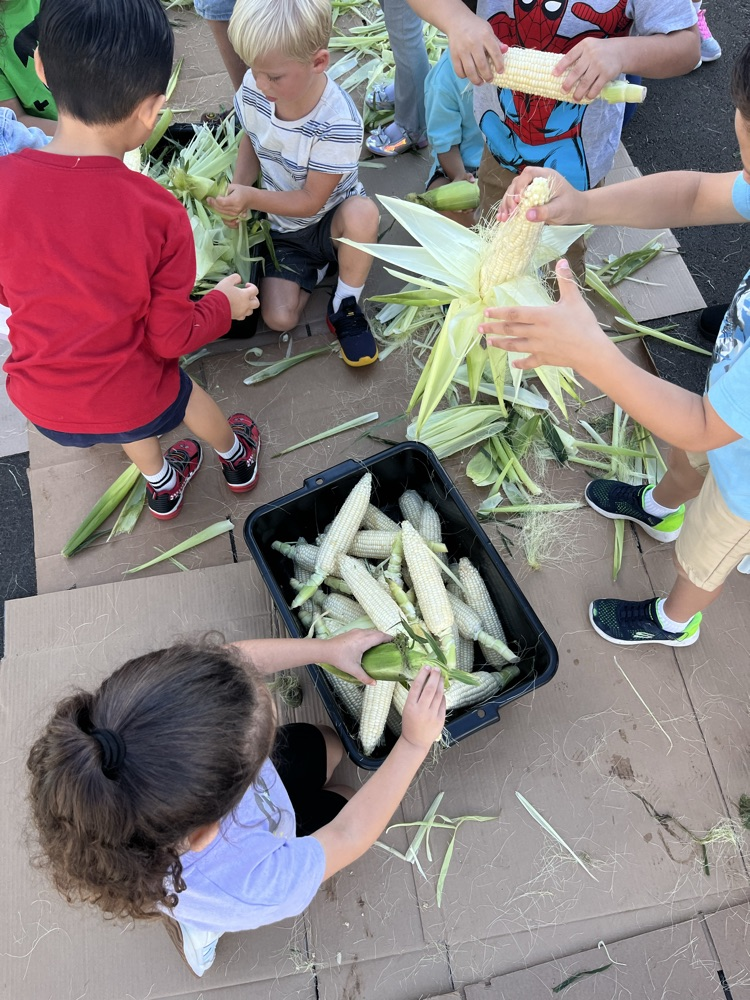 preschool students even participated