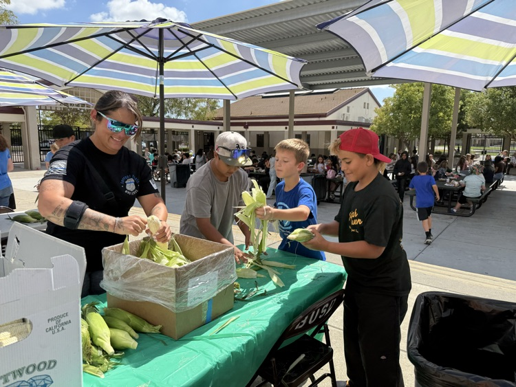 corn shucking at lunch