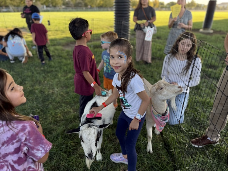 Petting zoo