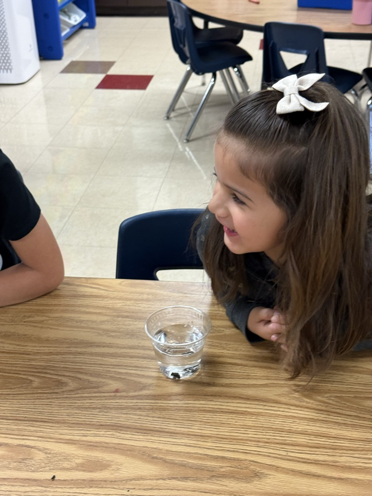 Kindergarten science 