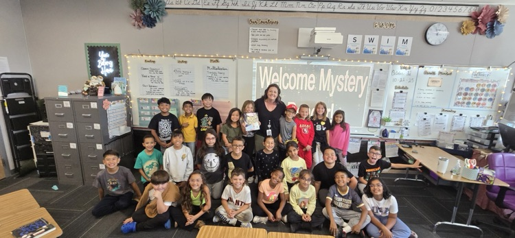 mystery reader 
