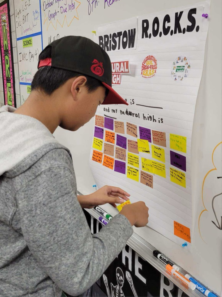 Red Ribbon Week - Natural Highs lesson