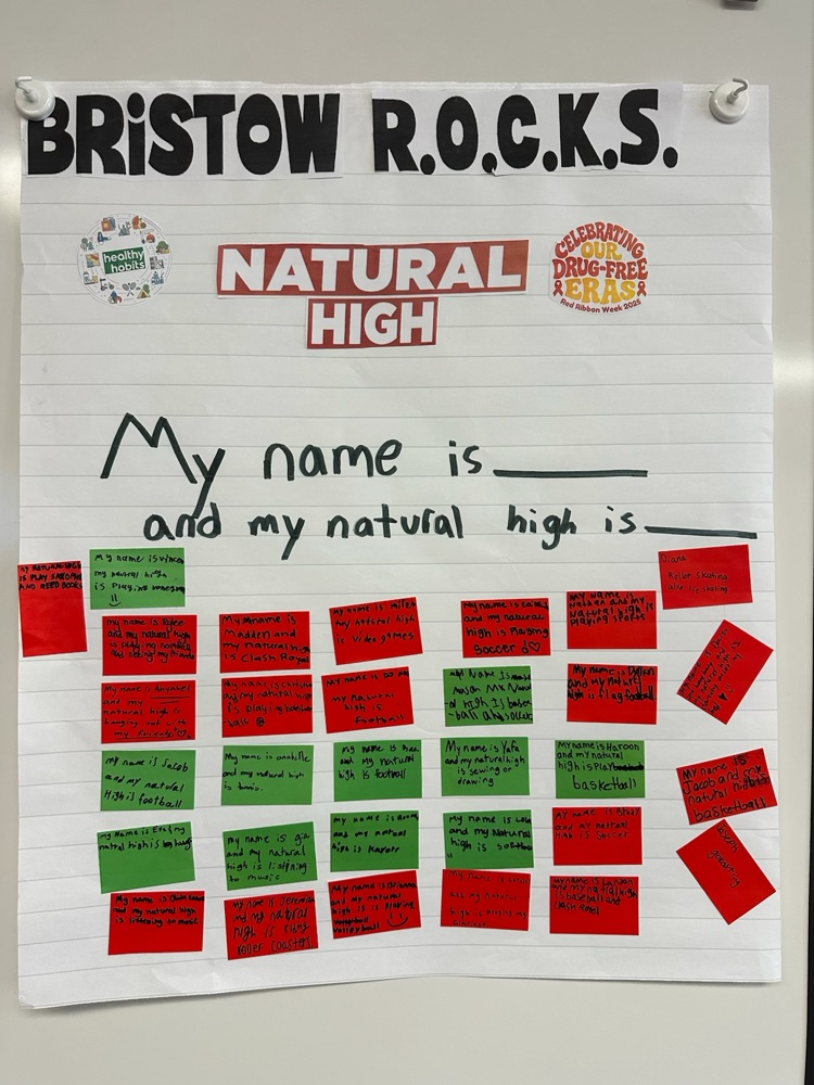 Red Ribbon Week - Natural Highs lesson