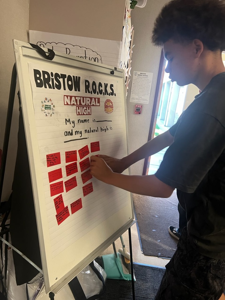 Red Ribbon Week - Natural Highs lesson