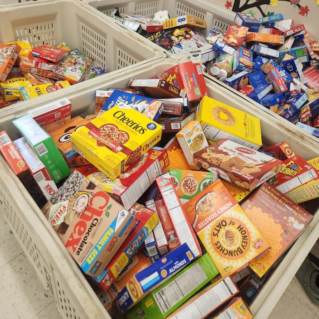 collected food and toys