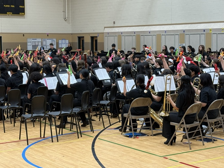 New Instruments: Rubber Chickens