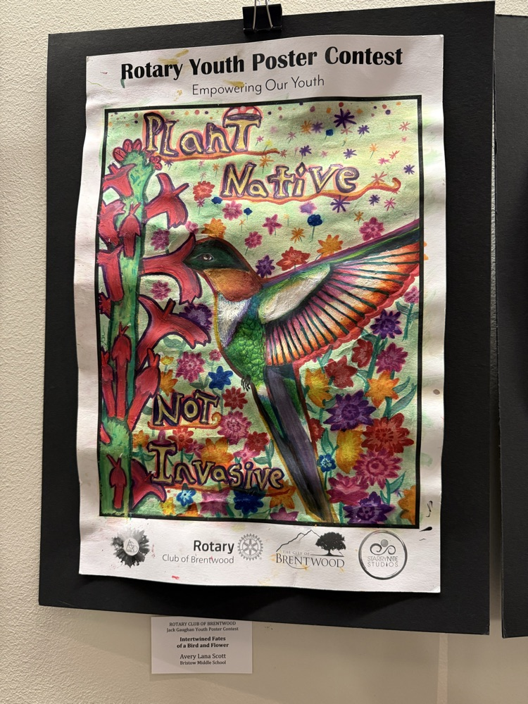 Brentwood Rotary Youth Poster Contest