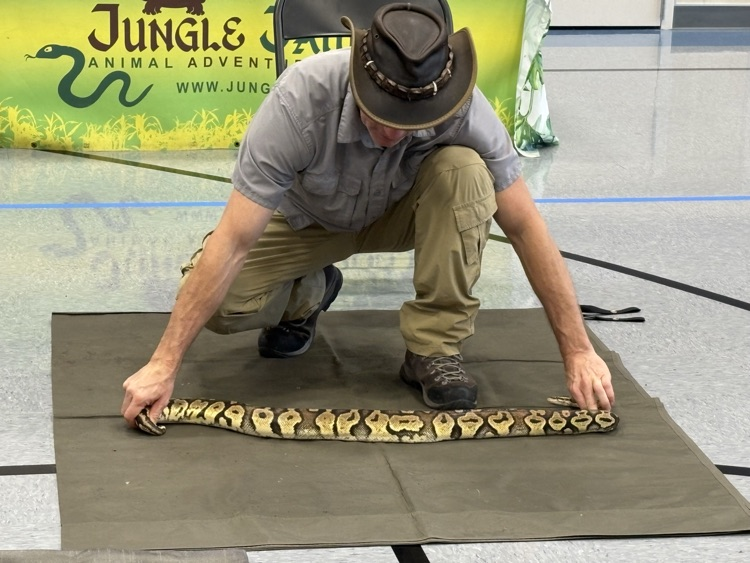 Otis the Python 