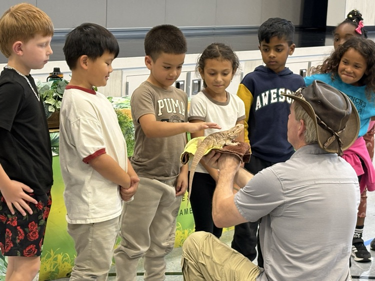 Gretel the bearded dragon 