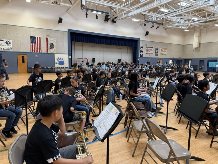 Bandapalooza 2026