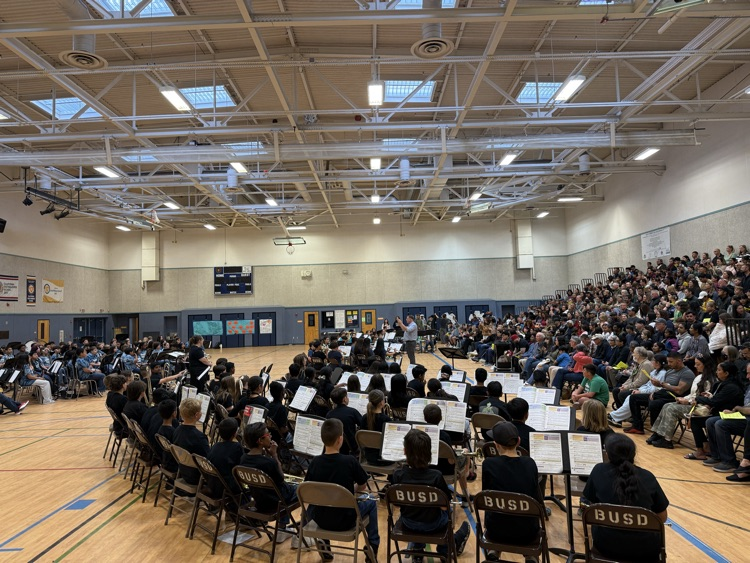Bandapalooza 2026